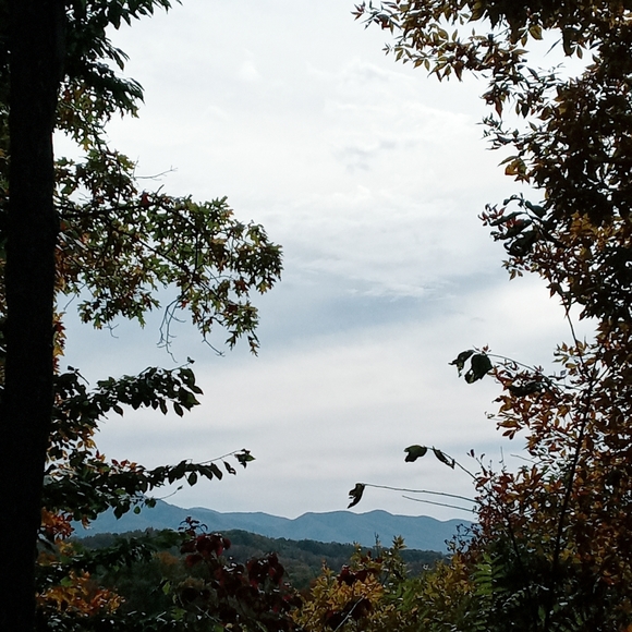 Meet your Posher, Nikki - Picture 3 of 3